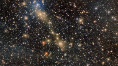 Abell 3667 is featured in this DECam image. Image credit: CTIO / NOIRLab / NSF / AURA / Anthony Englert, Brown University / T.A. Rector, University of Alaska Anchorage & NSF’s NOIRLab / M. Zamani & D. de Martin, NSF’s NOIRLab.