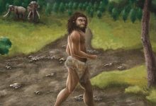Denisovan DNA May Have Helped Ancient Humans Survive in Americas