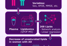 Wretlind et al. aimed to investigate sex-specific single lipids associated with Alzheimer’s disease. Image credit: Wretlind et al., doi: 10.1002/alz.70512.