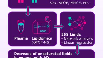 Wretlind et al. aimed to investigate sex-specific single lipids associated with Alzheimer’s disease. Image credit: Wretlind et al., doi: 10.1002/alz.70512.