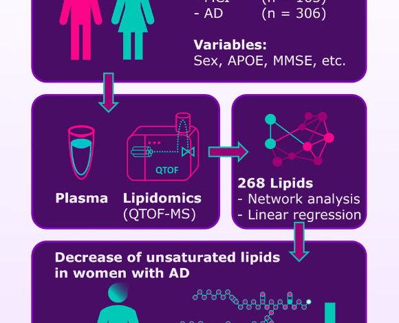 Wretlind et al. aimed to investigate sex-specific single lipids associated with Alzheimer’s disease. Image credit: Wretlind et al., doi: 10.1002/alz.70512.