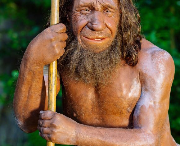Macak et al. show that a genetic variant inherited from Neanderthals impairs the function of a key enzyme involved in muscle performance. Image credit: Holger Neumann / Neanderthal Museum.