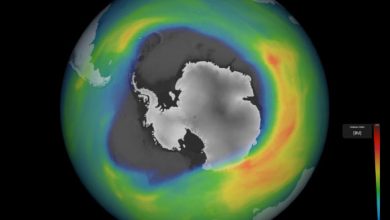 The ozone hole over Antarctica in 2020. Image credit: ESA.