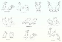 Illustration of the 10 most common recorded dance movements by cockatoos. Image credit: Lubke et al., doi: 10.1371/journal.pone.0328487.