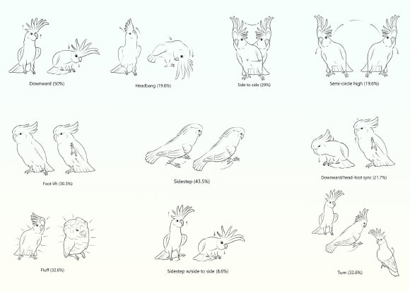 Illustration of the 10 most common recorded dance movements by cockatoos. Image credit: Lubke et al., doi: 10.1371/journal.pone.0328487.