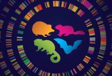 Studying the evolution of hibernators like some hedgehogs, bats, ground squirrels, and lemurs could reveal the secrets of their remarkable resilience. Image credit: Chrissy Richards.