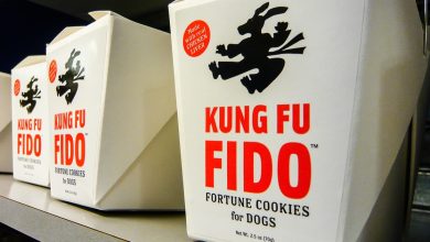 Ataque permite que kits de phishing burlam FIDO