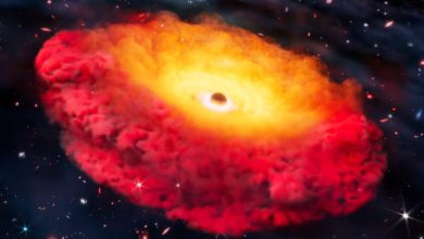Cientistas descobrem buraco negro mais antigo no universo