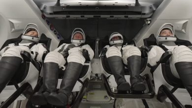 SpaceX leva astronautas para a ISS em missão Crew-11