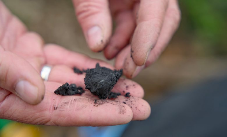 Terraton quer ser McDonald's do biochar na economia-verde