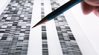 DNA fornecido à polícia e suas implicações genéticas