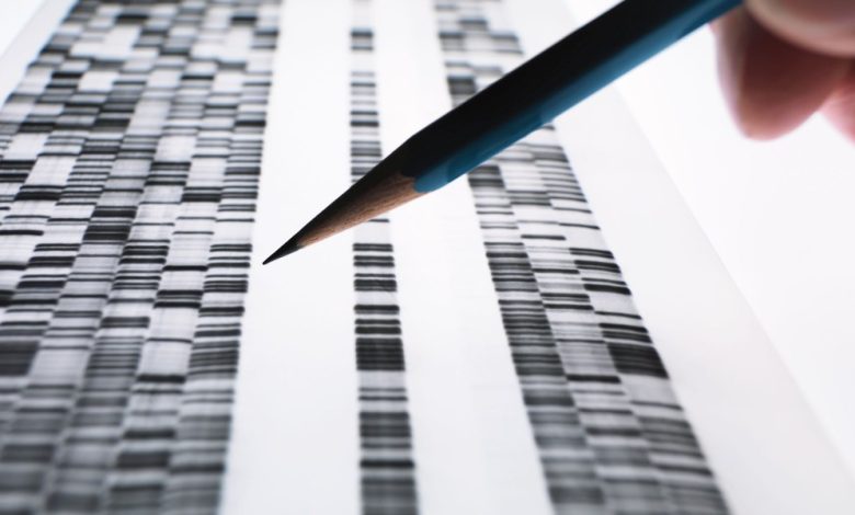 DNA fornecido à polícia e suas implicações genéticas