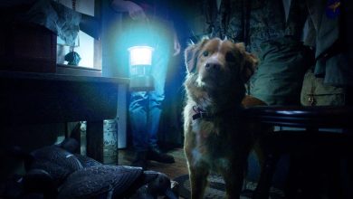 Good Boy: trailer de filme de terror com dogs é revelado