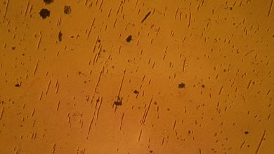 NASA analisa wafer semicondutor na ISS sob microscópio