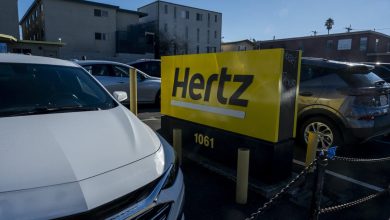 Hertz apresenta polêmica sobre scanner AI e seus impactos
