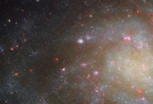 This Hubble image shows of the outer arms of NGC 45, a spiral galaxy some 22 million light-years away in the constellation of Cetus. The color image was made from separate exposures taken in the ultraviolet, visible and near-infrared regions of the spectrum with Hubble’s Wide Field Camera 3 (WFC3) instrument. It is based on data obtained through seven filters. The color results from assigning different hues to each monochromatic image associated with an individual filter. Image credit: NASA / ESA / Hubble / D. Calzetti / R. Chandar / M.H. Özsaraç.