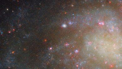 This Hubble image shows of the outer arms of NGC 45, a spiral galaxy some 22 million light-years away in the constellation of Cetus. The color image was made from separate exposures taken in the ultraviolet, visible and near-infrared regions of the spectrum with Hubble’s Wide Field Camera 3 (WFC3) instrument. It is based on data obtained through seven filters. The color results from assigning different hues to each monochromatic image associated with an individual filter. Image credit: NASA / ESA / Hubble / D. Calzetti / R. Chandar / M.H. Özsaraç.