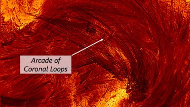 A high-resolution image of the flare from the Inouye Solar Telescope, taken on August 8, 2024, at 20:12 UT. The image is about 4 Earth-diameters on each side. Labels of the different relevant regions of the image are added for clarity: flare ribbons (bright areas of energy release in the dense lower solar atmosphere) and an arcade of coronal loops (arcs of plasma outlining magnetic field lines that transport energy from the corona to the flare ribbons). Image credit: NSF / NSO / AURA.