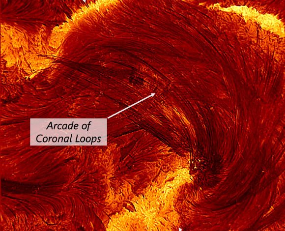 A high-resolution image of the flare from the Inouye Solar Telescope, taken on August 8, 2024, at 20:12 UT. The image is about 4 Earth-diameters on each side. Labels of the different relevant regions of the image are added for clarity: flare ribbons (bright areas of energy release in the dense lower solar atmosphere) and an arcade of coronal loops (arcs of plasma outlining magnetic field lines that transport energy from the corona to the flare ribbons). Image credit: NSF / NSO / AURA.