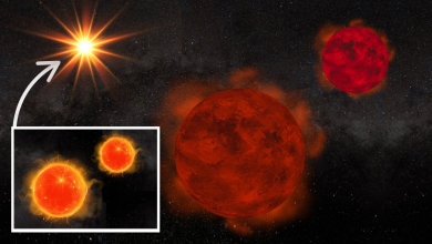 Sistema quádruplo pode revelar segredos de estrelas falhadas