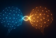 Sakana AI desenvolve algoritmo para modelos de inteligência artificial