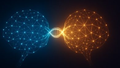 Sakana AI desenvolve algoritmo para modelos de inteligência artificial