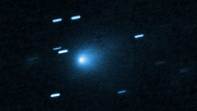 Hubble captured this image of 3I/ATLAS on July 21, 2025, when the comet was 446 million km (277 million miles) from Earth. Image credit: NASA / ESA / David Jewitt, UCLA / Joseph DePasquale, STScI.