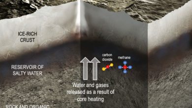 This illustration depicts the interior of Ceres, including the transfer of water and gases from the rocky core to a reservoir of salty water; carbon dioxide and methane are among the molecules carrying chemical energy beneath Ceres’ surface. Image credit: NASA / JPL-Caltech.
