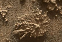This image of the Paposo rock was taken by Curiosity’s MAHLI instrument on July 24, 2025. Image credit: NASA / JPL-Caltech / MSSS.