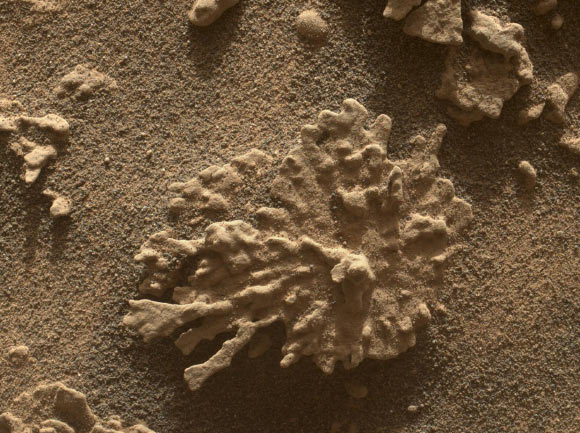 This image of the Paposo rock was taken by Curiosity’s MAHLI instrument on July 24, 2025. Image credit: NASA / JPL-Caltech / MSSS.
