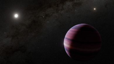 Webb Images Giant Exoplanet Candidate in Habitable Zone of Alpha Centauri A