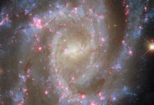 This Hubble image shows NGC 2835, a spiral galaxy some 35 million light-years away in the constellation of Hydra. Image credit: NASA / ESA / Hubble / R. Chandar / J. Lee / PHANGS-HST Team.