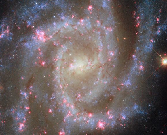 This Hubble image shows NGC 2835, a spiral galaxy some 35 million light-years away in the constellation of Hydra. Image credit: NASA / ESA / Hubble / R. Chandar / J. Lee / PHANGS-HST Team.