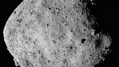 This mosaic image of asteroid Bennu is composed of 12 images collected on December 2, 2018 by OSIRIS-REx’s PolyCam instrument from a range of 15 miles (24 km). Image credit: NASA / NASA’s Goddard Space Flight Center / University of Arizona.
