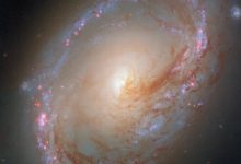 This Hubble image shows Messier 96, a spiral galaxy some 34 million light-years away in the constellation of Leo. Image credit: NASA / ESA /Hubble / F. Belfiore / D. Calzetti.