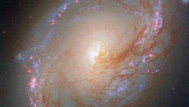 This Hubble image shows Messier 96, a spiral galaxy some 34 million light-years away in the constellation of Leo. Image credit: NASA / ESA /Hubble / F. Belfiore / D. Calzetti.