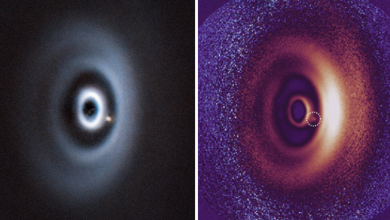 Astrônomos descobrem exoplaneta em disco multi-anéis