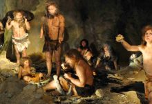 Paleoanthropologists Discover Earliest Evidence of Human-Neanderthal Interbreeding