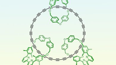 Chemical structure of the cyclo[48]carbon [4]catenan. Image credit: Harry Anderson.
