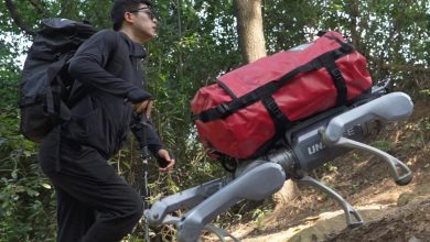 Unitree A2 Stellar Explorer realiza acrobacias e carrega humano
