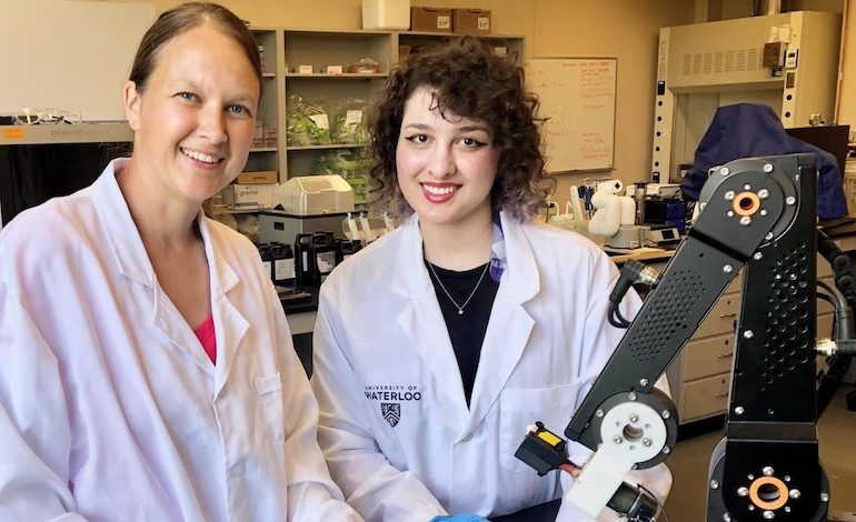 Robôs da University of Waterloo tratam diretamente cálculos renais