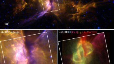 Hubble and Webb/ALMA images of the Butterfly Nebula. Image credit: NASA / ESA / CSA / Webb / Hubble / ALMA / Matsuura et al., doi: 10.1093/mnras/staf1194.