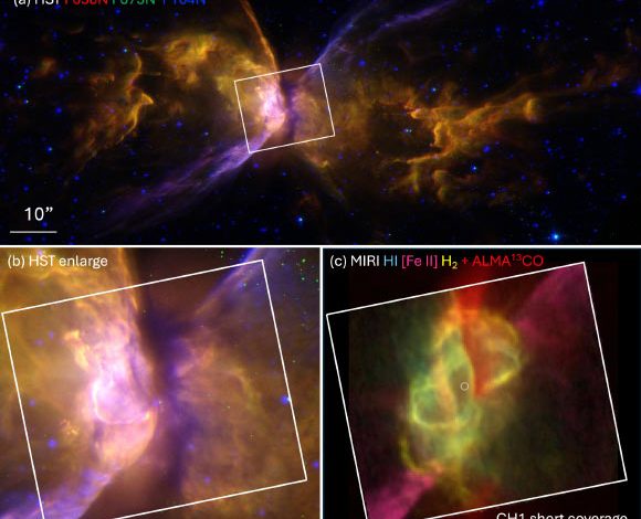 Hubble and Webb/ALMA images of the Butterfly Nebula. Image credit: NASA / ESA / CSA / Webb / Hubble / ALMA / Matsuura et al., doi: 10.1093/mnras/staf1194.