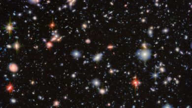This Webb image shows the Hubble Ultra Deep Field, an area of deep space with thousands of galaxies in various shapes and sizes on a black background. Image credit: NASA / ESA / CSA / Webb / G. Östlin / P. G. Perez-Gonzalez / J. Melinder / JADES Collaboration / M. Zamani, ESA & Webb.