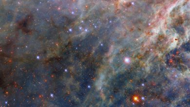 NASA observa formação de estrelas na nebulosa Tarântula