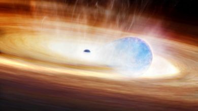 NASA descobre explosão estelar em órbita de buraco negro