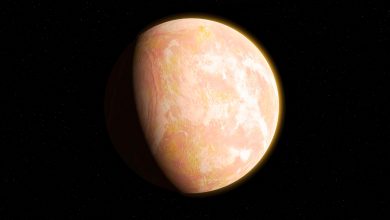 NASA investiga aquecimento global e seus impactos nos polinizadores