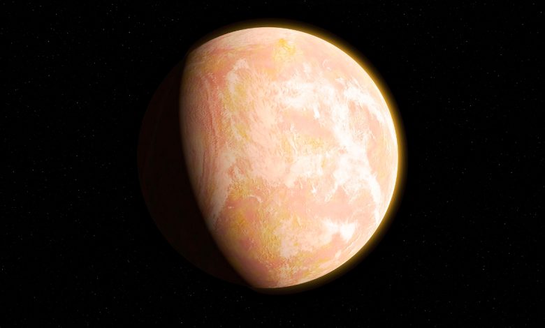NASA investiga aquecimento global e seus impactos nos polinizadores