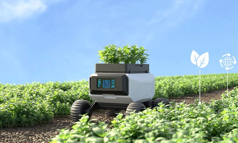 Robôs agrícolas otimizam produção e sustentabilidade no campo