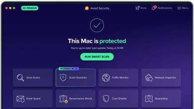 Avast reduz em 60% pacotes para proteção em games
